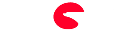 DONGPENG logo